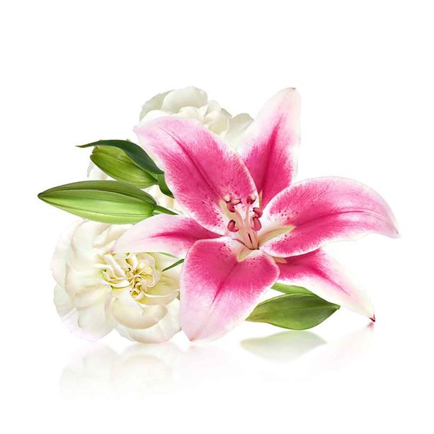 Avon Lily & Gardenia Body Mist - 100ml
