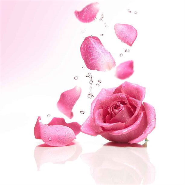 Avon Radiant Rosewater & Shea Butter Body Lotion - 400ml