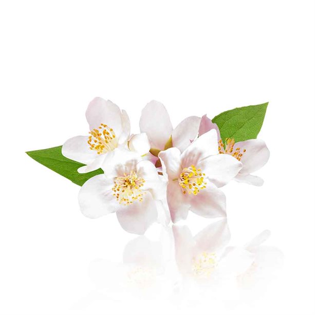 Avon Senses Love In Bloom Shower Crème - 250ml