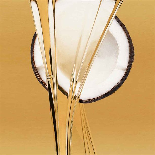 images/avon_product_images/source_06/coconut-oil-multipurpose-cream-400ml-z0z-003.jpg