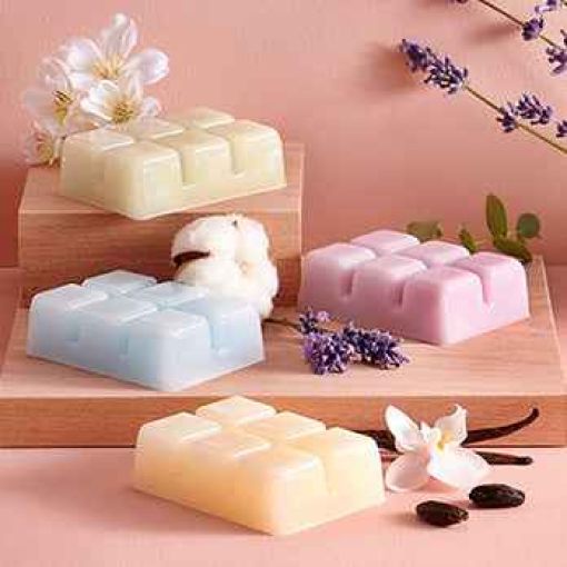 2 For £6 Home Fragrance Wax Melts